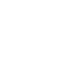Linear Lens